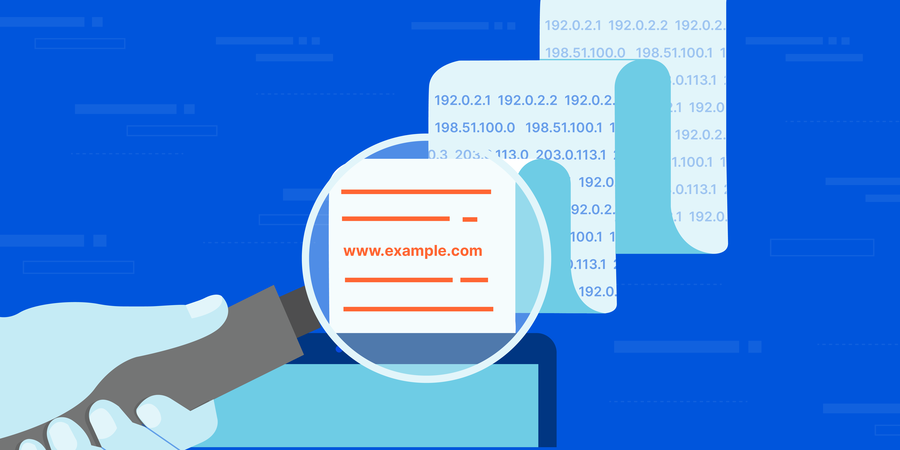 dns management