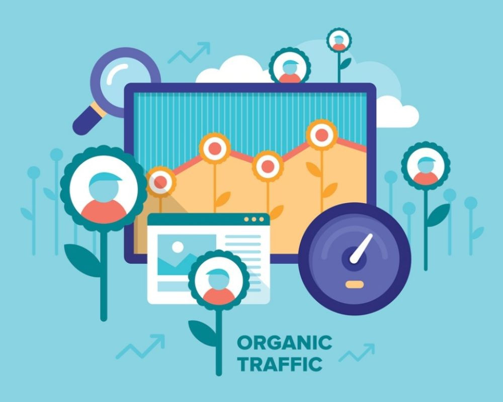 thiết kế website hồ chí minh